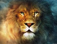 Одиннадцатая. Она же – и ПОСЛЕДНЯЯ