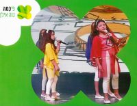 Театр песни "Кинор Давид" объявляет набор артистов