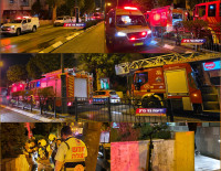 Вечером в Ашдоде посреди города змея укусила прохожего