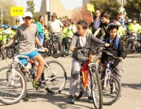 Нужно ли велосипедистам сдавать на права?