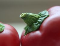 И всё же, овощи и фрукты в Израиле - дешёвые