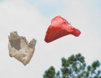 В магазинах начнут брать деньги за пластиковые пакеты