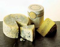 Забастовка на "Тнуве": на Шавуот ожидается дефицит сыров