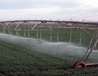 ООН одобряет израильскую инициативу. Арабы не против