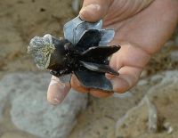 Успешные испытания системы предупреждения о миномётных обстрелах