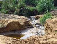 Боремся с комарами