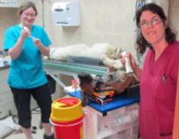 Совместное мероприятие