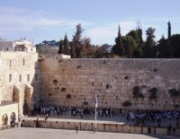 «Еш дин»: иностранные деньги помогают нам продвигать наши цели