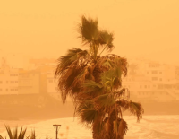 Минздрав предупредупреждает о мощной песчаной буре в Израиле