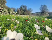 Национальные парки и леса по всей стране закрыты для всех