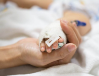 Трагедия в детсаду: шестимесячная девочка умерла вследствие инцидента 