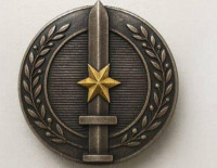 В Израиле учредили наградной знак *Выдающийся солдат*