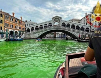 Грете Тунберг временно запретили въезд в Венецию