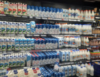 Перед Шавуотом в Израиле опять поднимают цены на молочную продукцию и топливо