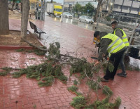 Сильные ветры вчера побили рекорды, достигнув скорости 103 км/ч &mdash; рекорд в Ашкелоне