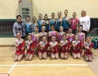 Команда Ашкелона по художественной гимнастике завоевала золотые и серебряные медали