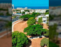 Старый парк в центре Ашкелона обновляется!