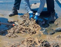 Цена влажных салфеток: Ашкелон платит миллионы за чужую небрежность