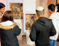 Вдоль городских переулков: фотовыставка достопримечательностей Ашкелона