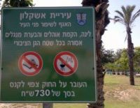 Чистый и безопасный праздник