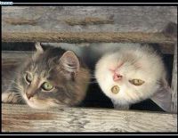 И всё-таки, мы - разные...