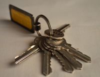 Кому достанутся семь квартир в центре Тель-Авива решат бездомные кошки