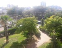 Прогноз погоды на 25 января: тепло, временами моросящий дождь