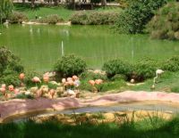 Прогноз погоды на 9 октября: солнечно, небольшое повышение температуры