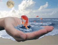 Простая история, связанная с гневом Божьим