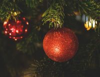 Раввин "Техниона" запретил входить в "Дом студентов" и рестораны из-за установленной там елки