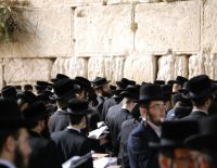 Украинские проститутки: зачем хасиды ездят в Умань