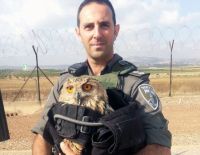 Пограничники спасли раненого филина