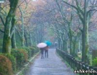 После снежной бури в Израиль возвращается весна