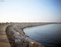 Прогноз погоды на 25 марта: тепло и солнечно