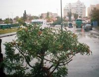 Прогноз погоды на 30 октября: облачно, понижение температуры, временами дожди