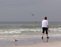 Прогноз погоды: понижение температуры, облачно, слабый дождь на севере