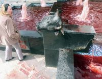 Акция против забоя скота: отрубленные головы и кровавые фонтаны в Тель-Авиве