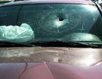 Эпидемия краж