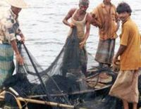 Израильский морской патруль задержал трёх палестинских рыбаков