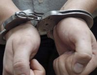 Подросток мучил и убивал кошек