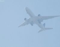 Сильный туман привел к сбою графика работы аэропорта Бен-Гурион