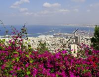 Утечка нефти на побережье, пляжи Хайфы закрыты