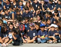 Протест против тесноты в классах усиливается: родители отменяют занятия