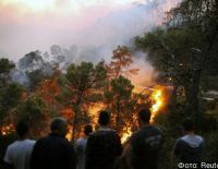В центре и на севере Израиля бушуют сильные пожары (видео)