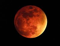 Жители Земли наблюдали "кровавую Луну", израильтянам не повезло