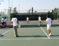 Любите ли вы теннис?