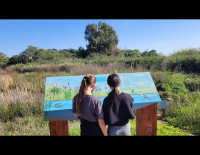 Управление природы и парков анонсировало мероприятия по случаю Рош ха-Шана