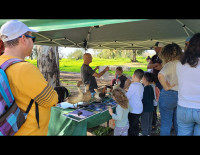 В Израиле начался традиционный месяц туризма