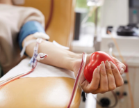 В США растет число отказов от переливания из-за вакцинации доноров от Ковида