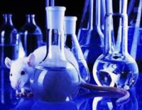 Израильские ученые разработали препарат, который устранил у мышей симптомы болезни Альцгеймера